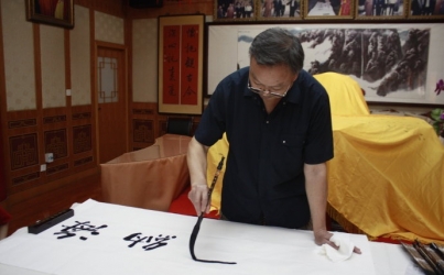 段奇洲书法作品欣赏