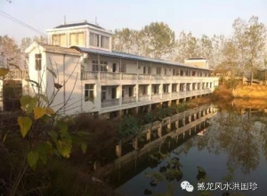 出丧棺材浮水上，悬派系跤挚胀