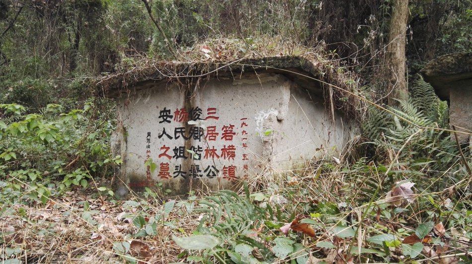 001EFHzpgy6YHuAJ5Vvd9