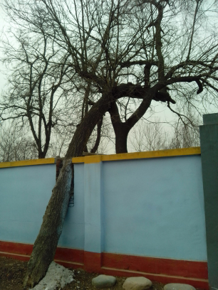 5a6d7e57gd703edfe024b&690