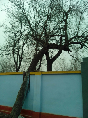 5a6d7e57g7be6cb1a49f2&690