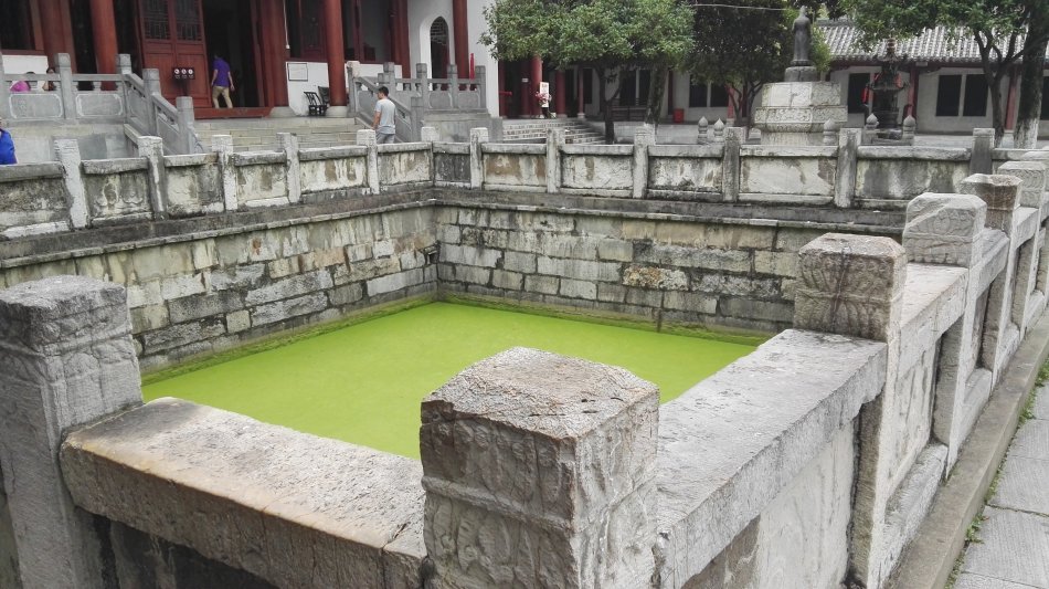 001EFHzpgy72ASAjaqi6e