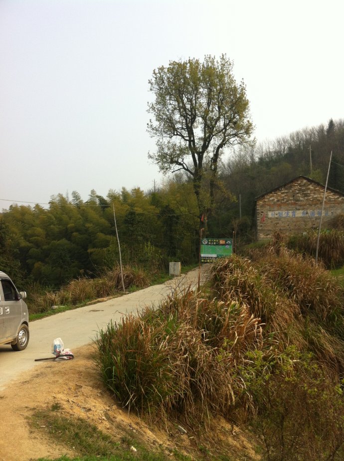 5a6d7e57gd99db849df59&690