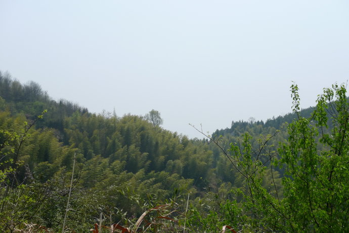 5a6d7e57gd99cb5d40d96&690