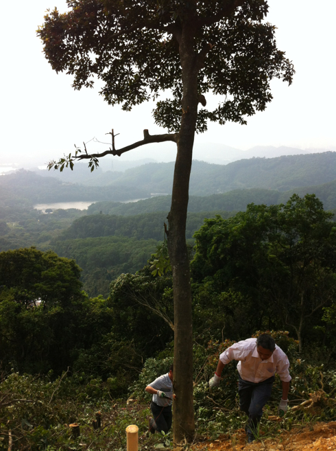 5a6d7e574daabaf0997b0&690