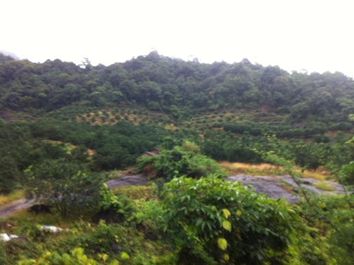 5a6d7e574e21a48870416&690