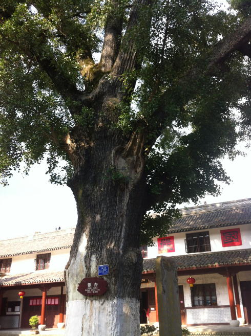 5a6d7e574e12686f66cad&690