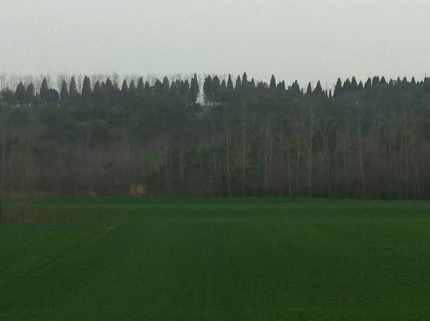 001EFHzpgy6YJXMqK3Wbc