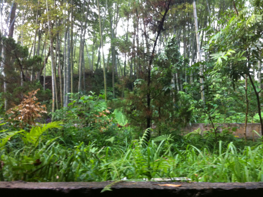 001EFHzpzy6L0l7pR9Zc7&690