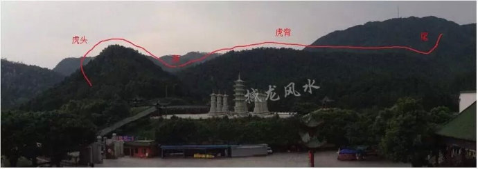 001EFHzpgy6VdZlitkb37&690