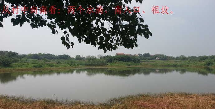 001EFHzpgy6LfaKFUP2d4&690