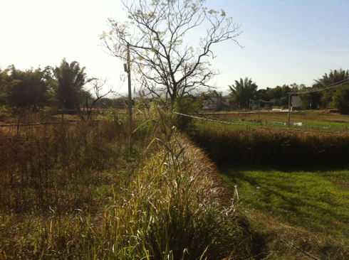 001EFHzpzy6OtiC7gj507&690