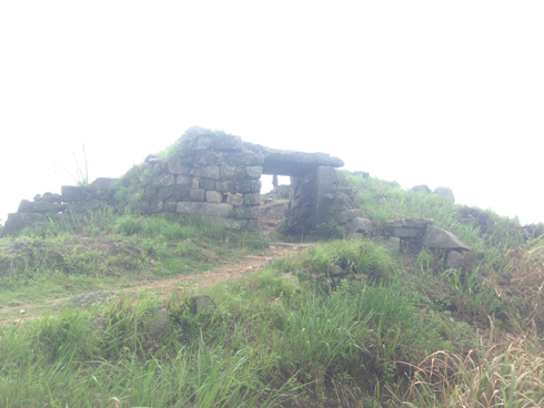 001EFHzpzy6RzvaF6Nucc&690