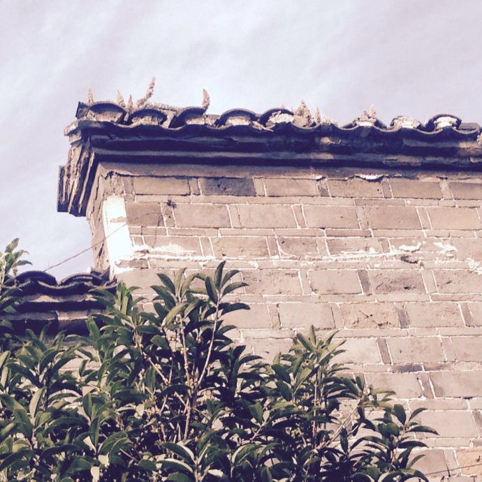 001EFHzpgy6W6VZOSUn1f