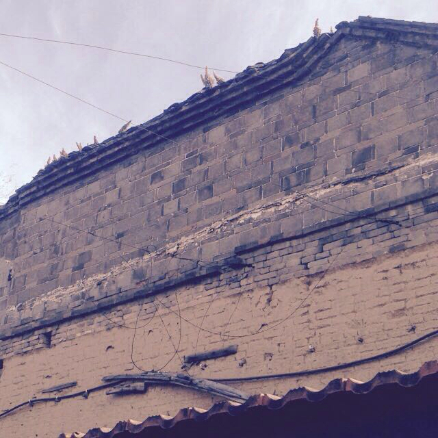 001EFHzpgy6W6VZDwsP73