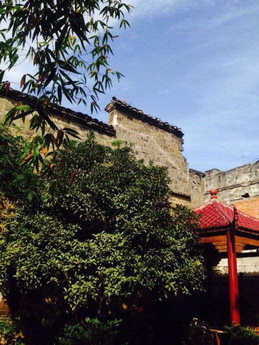 001EFHzpgy6W6VZY4yeaa