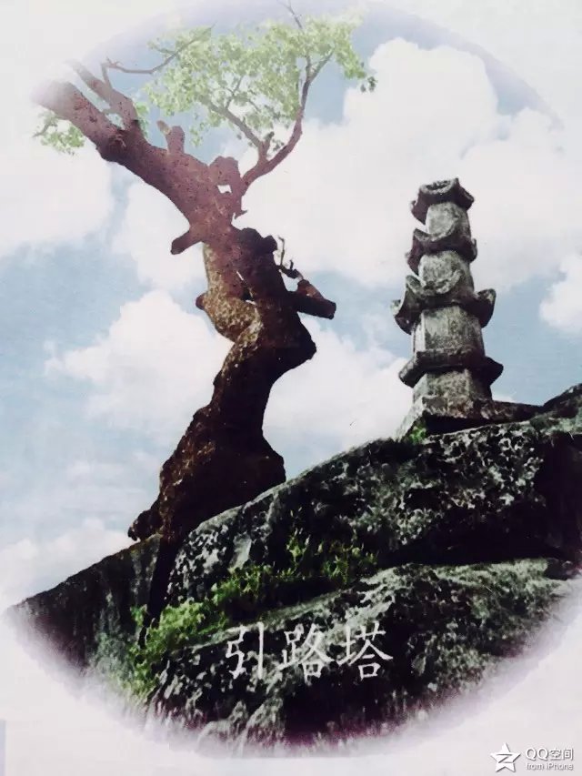 001EFHzpgy6XrgsOcpZeb&690