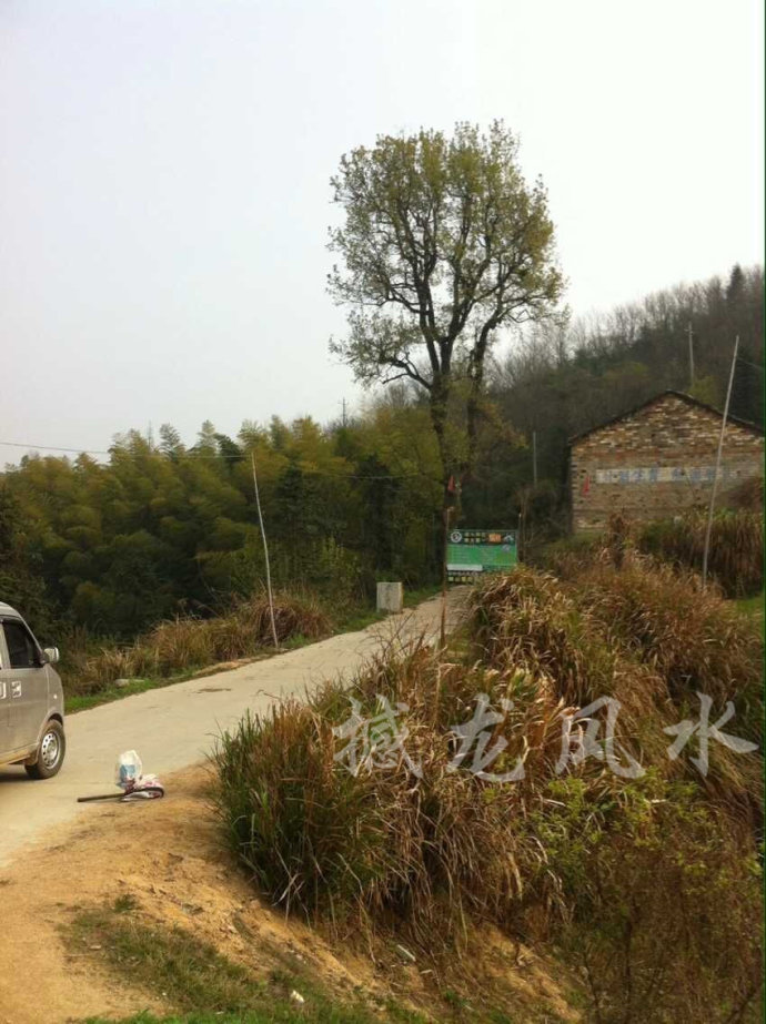 001EFHzpgy6Wh2LWJMOa6&690