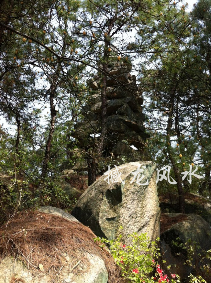 001EFHzpgy6WhdnnJ7xdf&690