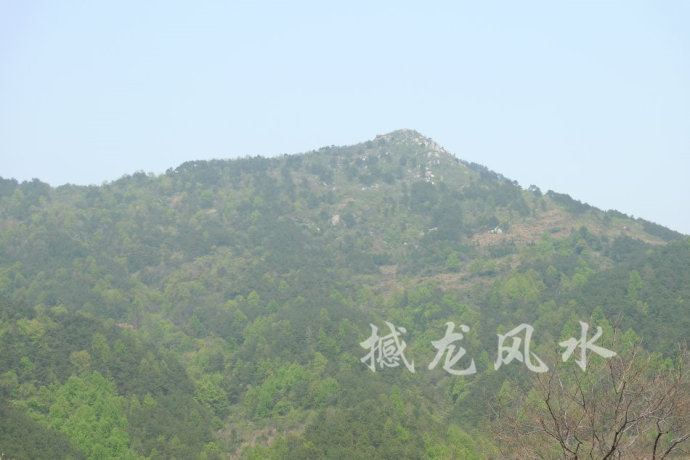 001EFHzpgy6Wh9tR0YU08&690