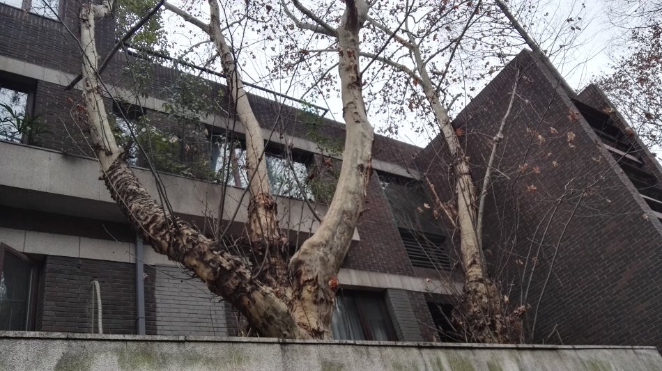 001EFHzpgy6YIXN1QS38f