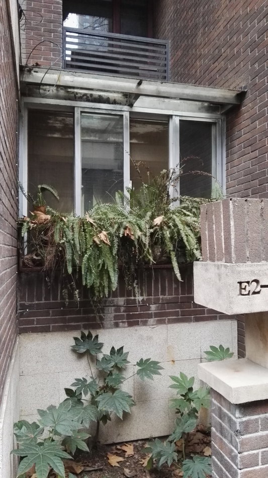 001EFHzpgy6YIXO60Hz1d