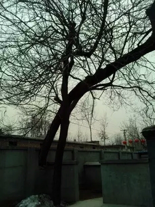 001EFHzpgy6YJVvQIDtaf