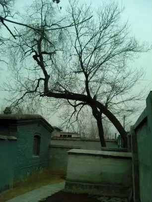 001EFHzpgy6YJVvULto2a