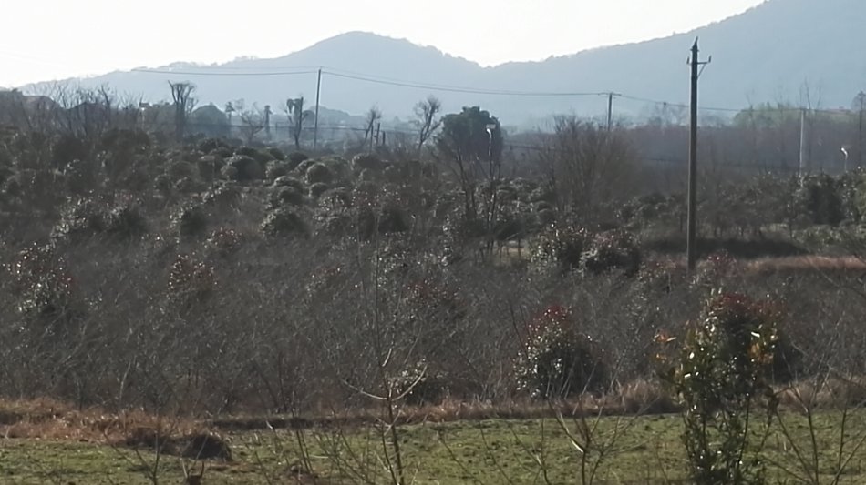 001EFHzpzy6ZpRuCe1N77