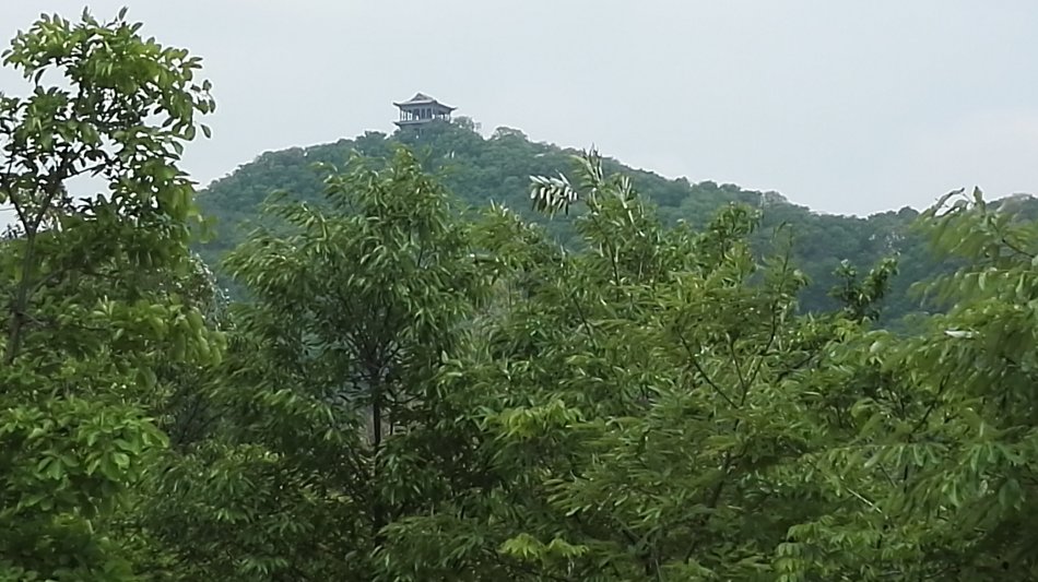 001EFHzpgy712HHz7Nb3d