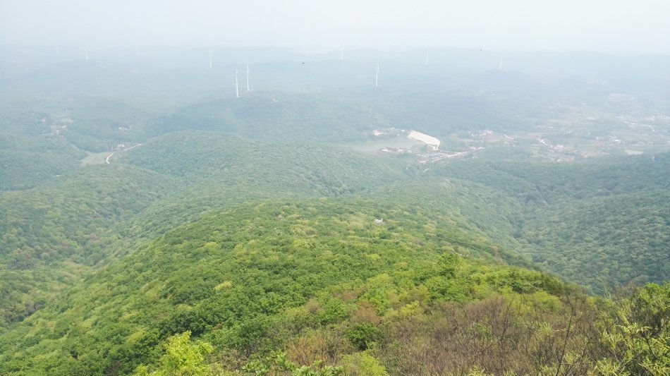 001EFHzpgy713c0jKGx2d