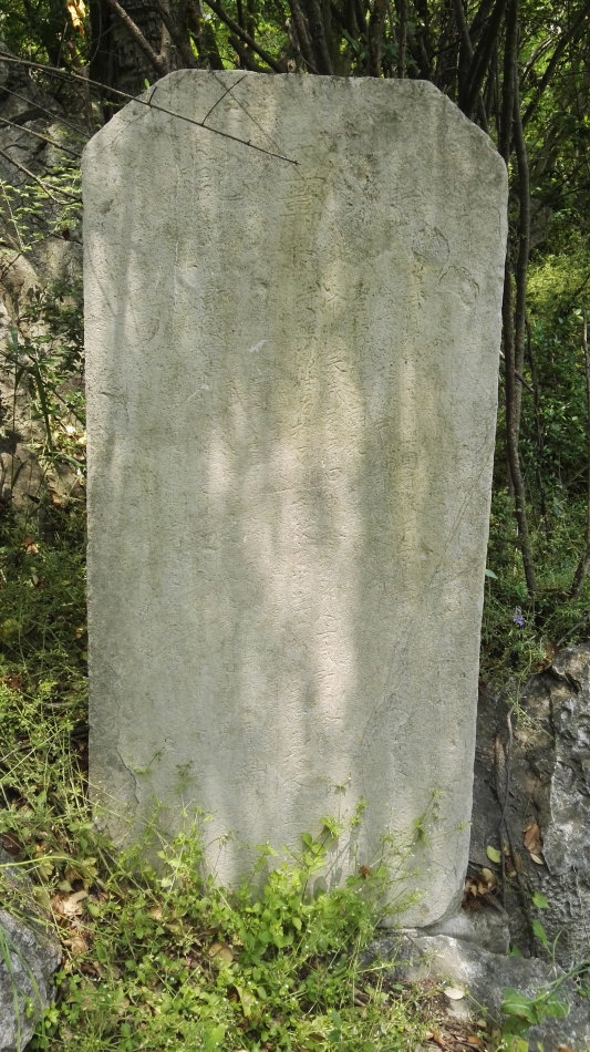 001EFHzpgy712HL7UwM28