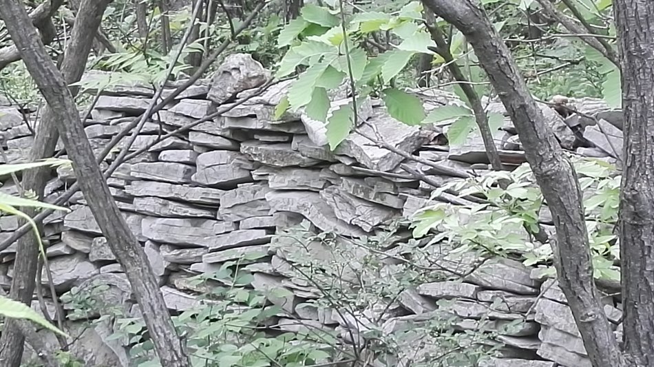 001EFHzpgy712HPdZCxb1