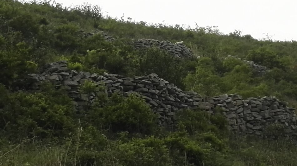 001EFHzpgy712HPIINQ32