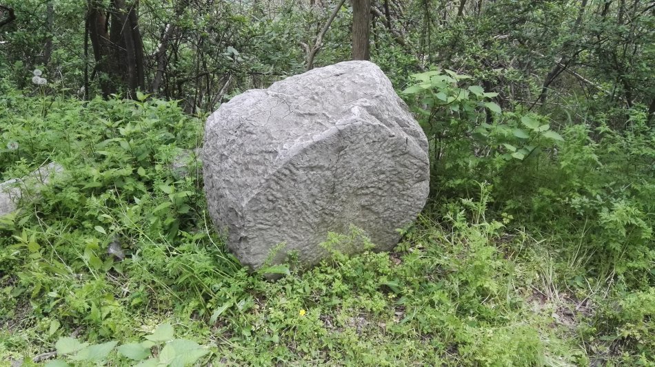 001EFHzpgy712HQkZZh0b