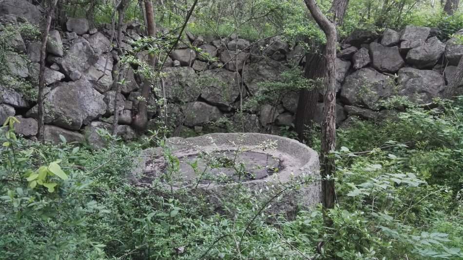 001EFHzpgy712HS79VHe5