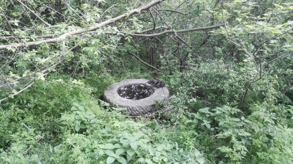 001EFHzpgy712HT5yMF39