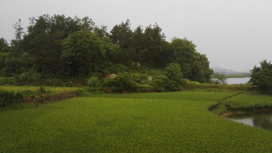 001EFHzpzy73Vij6PKG9a