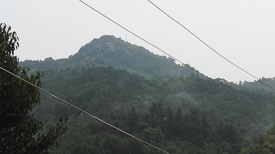 001EFHzpzy73VijQZ6x99