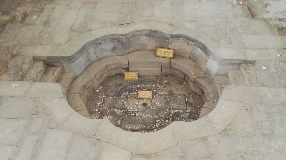 001EFHzpzy73OrNpmFE56