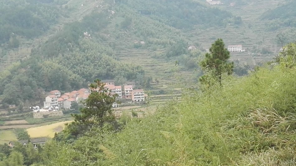 001EFHzpzy75pbYDE9Yf2