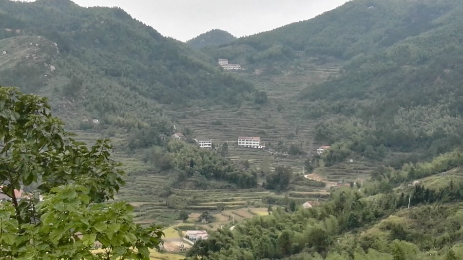 001EFHzpzy75pbYndG6ce