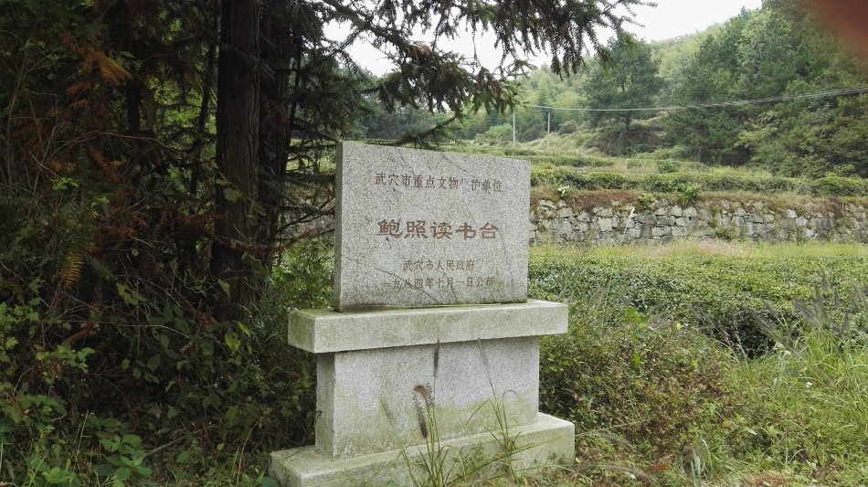 001EFHzpzy75pbZvBBoda