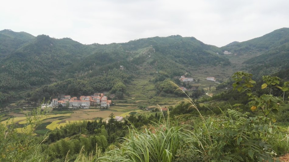 001EFHzpzy75pbY7fJW44