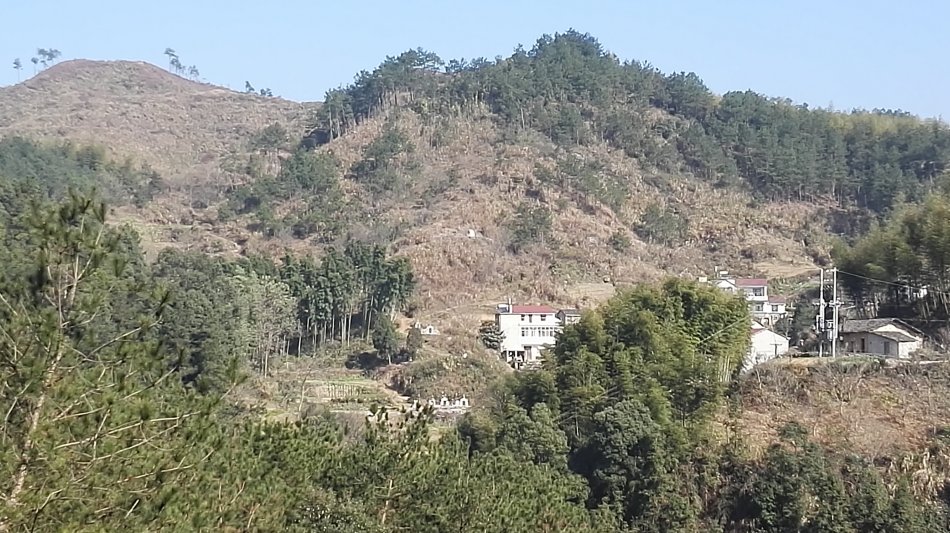 001EFHzpzy772TlcJoJc1